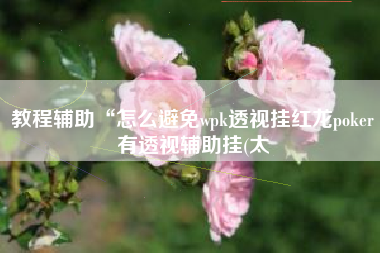 教程辅助“怎么避免wpk透视挂红龙poker有透视辅助挂(太