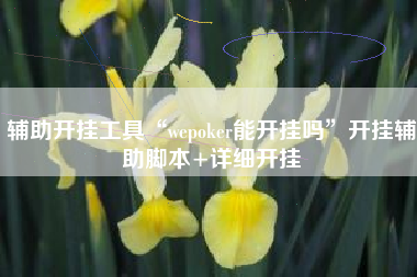辅助开挂工具“wepoker能开挂吗”开挂辅助脚本+详细开挂