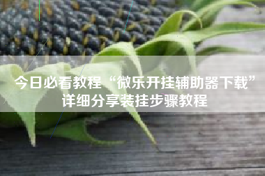 今日必看教程“微乐开挂辅助器下载”详细分享装挂步骤教程