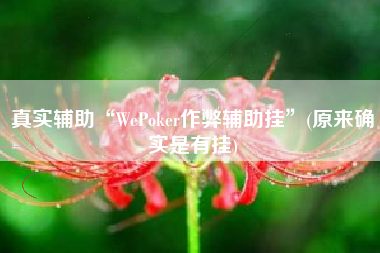真实辅助“WePoker作弊辅助挂”(原来确实是有挂)