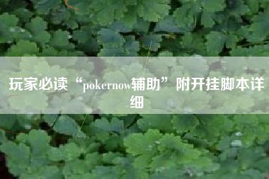 玩家必读“pokernow辅助	”附开挂脚本详细