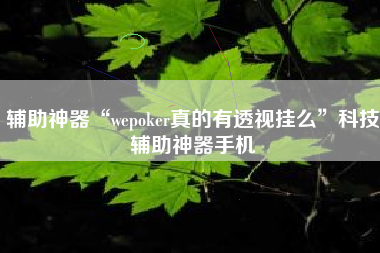 辅助神器“wepoker真的有透视挂么”科技辅助神器手机