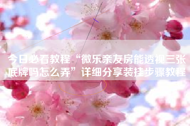 今日必看教程“微乐亲友房能透视三张底牌吗怎么弄”详细分享装挂步骤教程