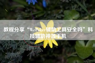 教程分享“WePoker辅助工具安全吗”科技辅助神器手机