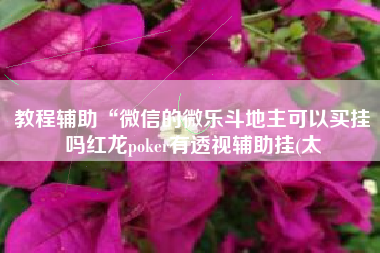 教程辅助“微信的微乐斗地主可以买挂吗红龙poker有透视辅助挂(太