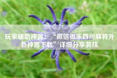 玩家辅助神器：“微信微乐四川麻将外卦神器下载	”详细分享装挂