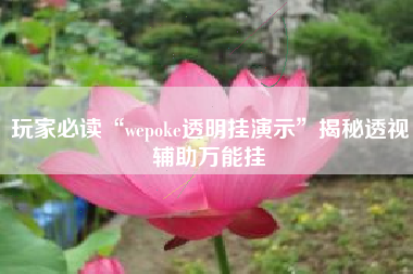 玩家必读“wepoke透明挂演示	”揭秘透视辅助万能挂