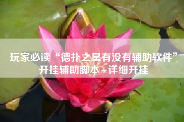 玩家必读“德扑之星有没有辅助软件”开挂辅助脚本+详细开挂