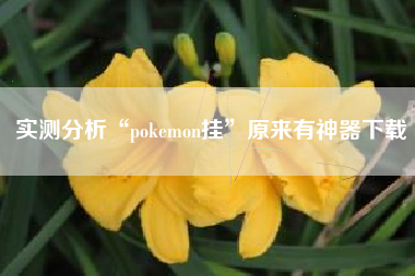 实测分析“pokemon挂	”原来有神器下载