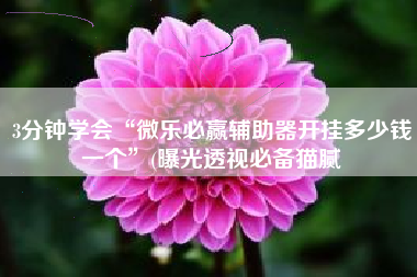 3分钟学会“微乐必赢辅助器开挂多少钱一个	”(曝光透视必备猫腻