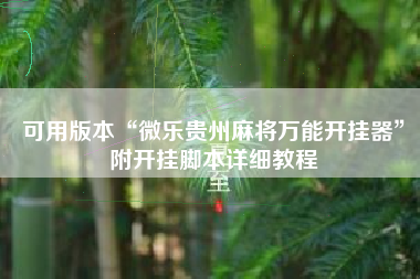 可用版本“微乐贵州麻将万能开挂器”附开挂脚本详细教程