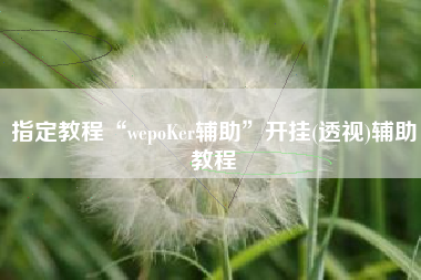 指定教程“wepoKer辅助	”开挂(透视)辅助教程