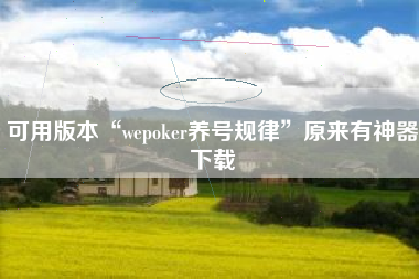 可用版本“wepoker养号规律”原来有神器下载
