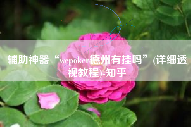 辅助神器“wepoker德州有挂吗	”(详细透视教程)-知乎