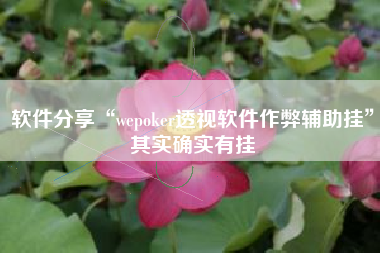 软件分享“wepoker透视软件作弊辅助挂”其实确实有挂