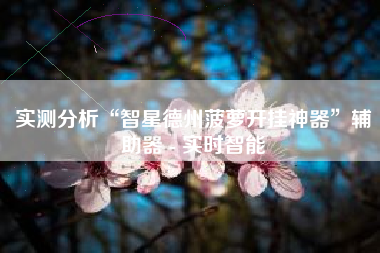 实测分析“智星德州菠萝开挂神器	”辅助器 - 实时智能