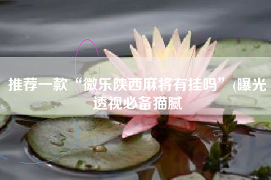 推荐一款“微乐陕西麻将有挂吗	”(曝光透视必备猫腻