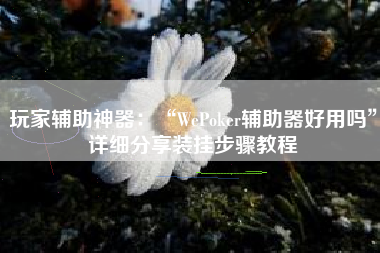玩家辅助神器：“WePoker辅助器好用吗	”详细分享装挂步骤教程