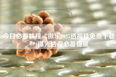 今日必看教程“微乐2025透视挂免费下载”(曝光透视必备猫腻