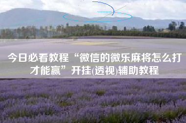 今日必看教程“微信的微乐麻将怎么打才能赢”开挂(透视)辅助教程