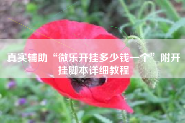 真实辅助“微乐开挂多少钱一个”附开挂脚本详细教程