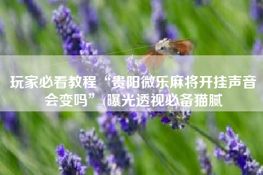 玩家必看教程“贵阳微乐麻将开挂声音会变吗”(曝光透视必备猫腻