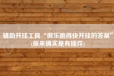 辅助开挂工具“微乐跑得快开挂的答案”(原来确实是有插件)
