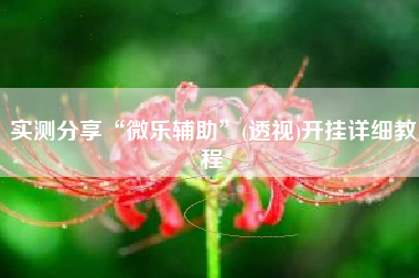 实测分享“微乐辅助”(透视)开挂详细教程