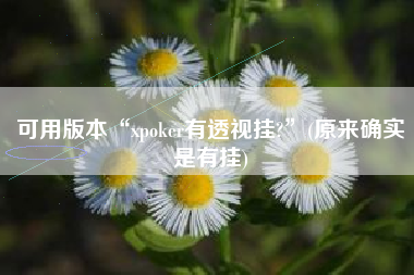 可用版本“xpoker有透视挂?”(原来确实是有挂)