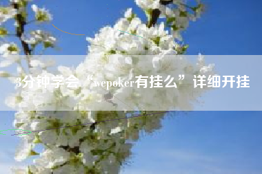 3分钟学会“wepoker有挂么”详细开挂