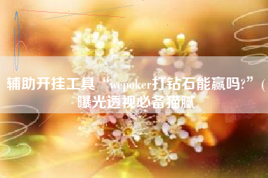 辅助开挂工具“wepoker打钻石能赢吗?”(曝光透视必备猫腻