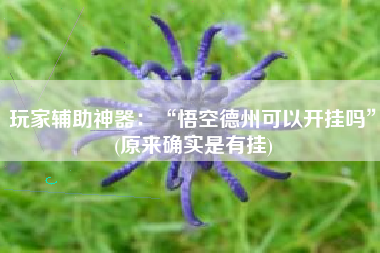 玩家辅助神器：“悟空德州可以开挂吗”(原来确实是有挂)