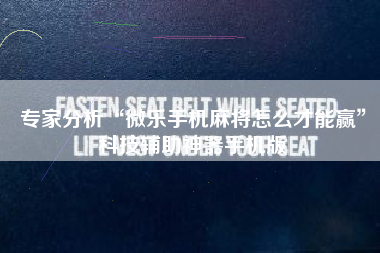 专家分析“微乐手机麻将怎么才能赢”科技辅助神器手机版