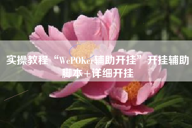 实操教程“WePOKer辅助开挂”开挂辅助脚本+详细开挂