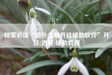 玩家必读“德扑之星开挂辅助软件”开挂(透视)辅助教程