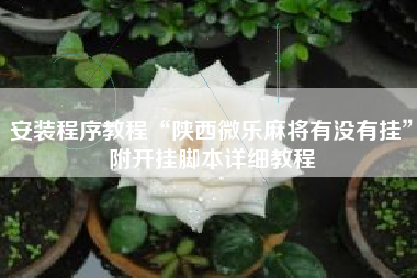 安装程序教程“陕西微乐麻将有没有挂”附开挂脚本详细教程