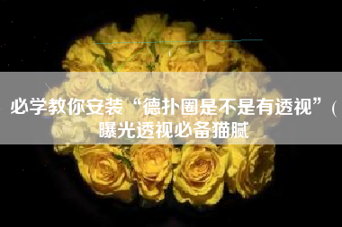 必学教你安装“德扑圈是不是有透视”(曝光透视必备猫腻