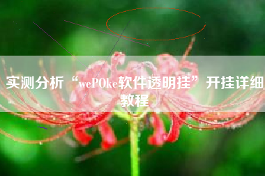 实测分析“wePOke软件透明挂	”开挂详细教程