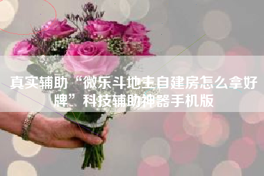 真实辅助“微乐斗地主自建房怎么拿好牌”科技辅助神器手机版