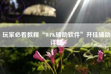 玩家必看教程“WPK辅助软件”开挂辅助详细