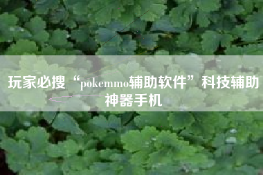 玩家必搜“pokemmo辅助软件”科技辅助神器手机