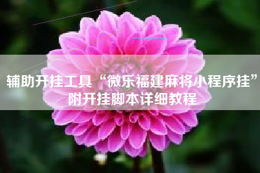 辅助开挂工具“微乐福建麻将小程序挂”附开挂脚本详细教程