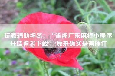 玩家辅助神器：“雀神广东麻将小程序开挂神器下载”(原来确实是有插件