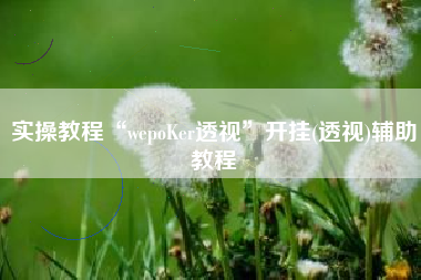 实操教程“wepoKer透视”开挂(透视)辅助教程