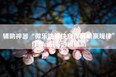 辅助神器“微乐跑得快自建房输赢规律”作弊(透视)透视辅助