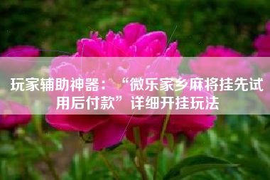 玩家辅助神器：“微乐家乡麻将挂先试用后付款	”详细开挂玩法