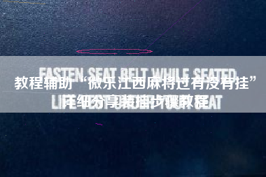 教程辅助“微乐江西麻将过有没有挂	”详细分享装挂步骤教程