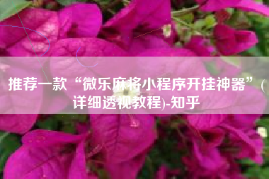 推荐一款“微乐麻将小程序开挂神器”(详细透视教程)-知乎