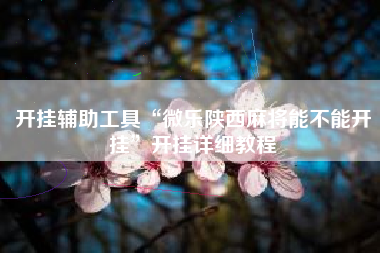 开挂辅助工具“微乐陕西麻将能不能开挂”开挂详细教程