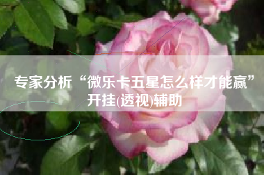专家分析“微乐卡五星怎么样才能赢	”开挂(透视)辅助